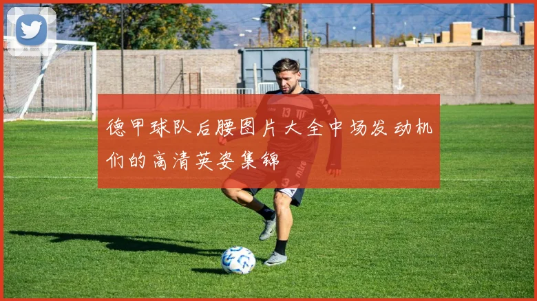德甲球队后腰图片大全中场发动机们的高清英姿集锦