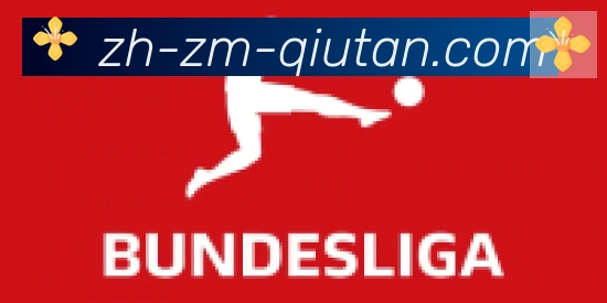 球探体育合作伙伴